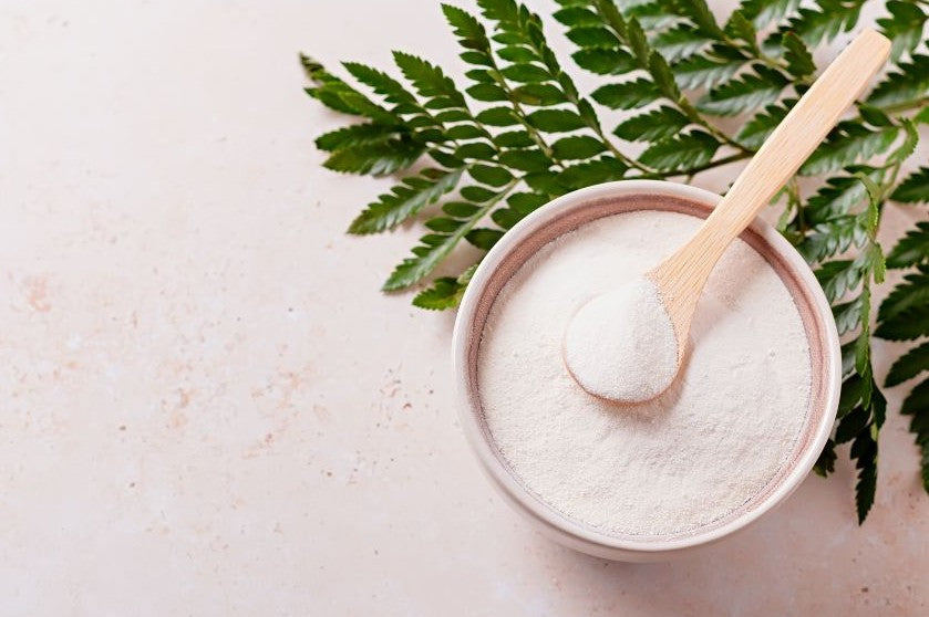 Collagen powder in a bowl with fern